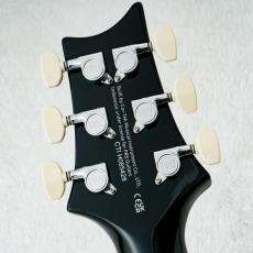 Paul Reed Smith [PRS] SE Custom 24 Amethyst 【3.54kg】【2026年製】_11