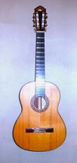 Hofner HM Millennium