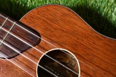 Kamaka Keiki K・03 GoldLabel Soprano【USED】_9