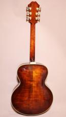Eastman AR-800 アーチ　トップ　バック_2