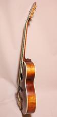 Eastman AR-800 アーチ　トップ　バック_3