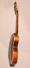 Eastman AR-800 アーチ　トップ　バック_4