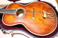 Eastman AR-800 アーチ　トップ　バック_5