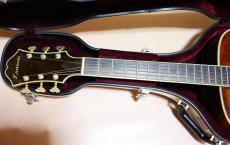 Eastman AR-800 アーチ　トップ　バック_6