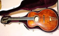 Eastman AR-800 アーチ　トップ　バック_7