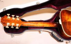 Eastman AR-800 アーチ　トップ　バック_9