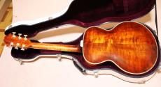 Eastman AR-800 アーチ　トップ　バック_10