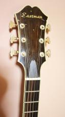 Eastman AR-800 アーチ　トップ　バック_11