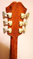 Eastman AR-800 アーチ　トップ　バック_12