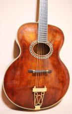 Eastman AR-800 アーチ　トップ　バック_13