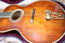 Eastman AR-800 アーチ　トップ　バック_14