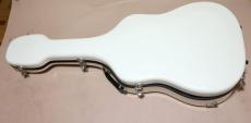 Eastman AR-800 アーチ　トップ　バック_16
