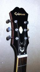 Epiphone RIVIERA_3