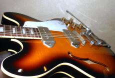 Epiphone CASINO ELITIST 1965_5