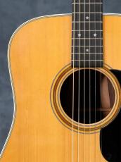 Martin D-76_6