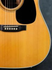 Martin D-76_9
