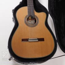 Nishino Shunpei [西野春平] NR-3 杉 CW 640mm (Nylon Strings)_8