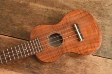 Famous Soprano FS-500