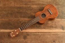 Famous Soprano FS-500_2