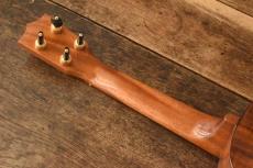 Famous Soprano FS-500_4
