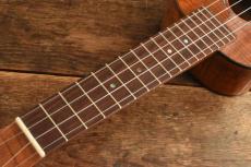 Famous Soprano FS-500_6
