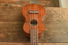 Famous Soprano FS-500_8