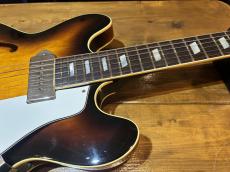 Aria Pro II CA-100-S_5