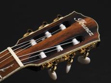 Ibanez TOD10N-TKF ~Transparent Black Flat~_3