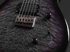 Paul Reed Smith [PRS] SE Mark Holcomb ~Holcomb Burst~_6