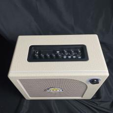 MOOER Hornet 30W_2