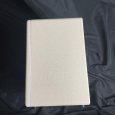 MOOER Hornet 30W_3