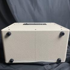 MOOER Hornet 30W_5