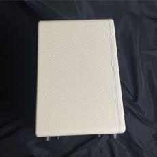 MOOER Hornet 30W_6