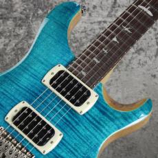 Paul Reed Smith [PRS] SE Custom 24 BN ~Blue Matteo~ #CTI H0289530 [3.42kg][2025年製]_2