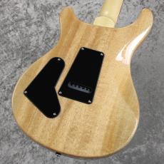 Paul Reed Smith [PRS] SE Custom 24 BN ~Blue Matteo~ #CTI H0289530 [3.42kg][2025年製]_7