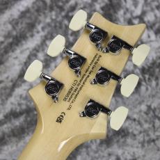 Paul Reed Smith [PRS] SE Custom 24 BN ~Blue Matteo~ #CTI H0289530 [3.42kg][2025年製]_9