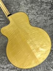 Eastman [スタッフおすすめ中古品!]AR-905CE Blonde [2.62kg]_9