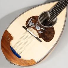 CALACE No.26M マンドリン イタリア手工製No26M ラウンドマンドリン_3