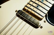 Fender Japan TLR-RK "Richie Kotzen Signature Model" / 2016_4