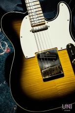 Fender Japan TLR-RK "Richie Kotzen Signature Model" / 2016_10