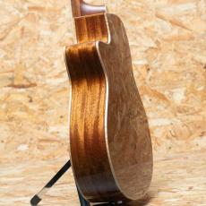 Morris SE-93 Custom_5