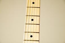 Provision TEC-KGN-#002-LA -Vintage Blonde- [3.32kg]_5