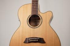 Takamine 【名古屋店10周年記念セール特価!】TSP138C N【薄ボディ】_3