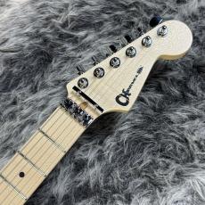 Charvel Warren DeMartini Signature Pro Mod Blood and Skull_6