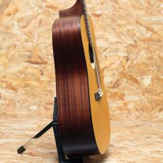 Martin D-10E Retro_4