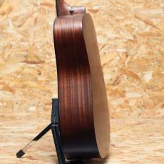 Martin D-10E Retro_5