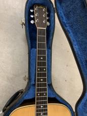 BlueBell W-800 オール単板仕様! 1970年代_5