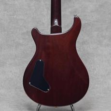 Paul Reed Smith [PRS] Private Stock Custom 24 Tiger Eye Smoked Burst w/Americana Birds Inlay / 2009_3