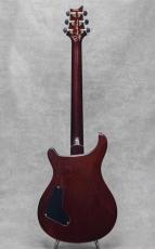 Paul Reed Smith [PRS] Private Stock Custom 24 Tiger Eye Smoked Burst w/Americana Birds Inlay / 2009_4