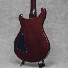 Paul Reed Smith [PRS] Private Stock Custom 24 Tiger Eye Smoked Burst w/Americana Birds Inlay / 2009_6